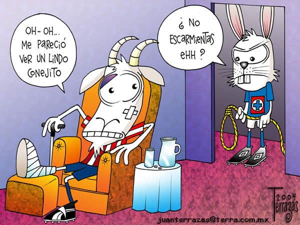 chivas cruz azul lindo conejito chivas cruz azul lindo conejito
