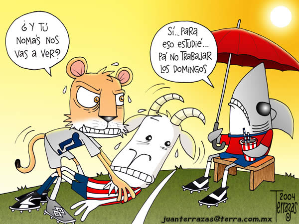 pumas unam chivas guadalajara veracruz tiburones domingos pumas unam chivas...