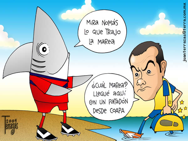 tiburones rojos veracruz cuauhtemoc blanco marea patadon coapa tiburones...