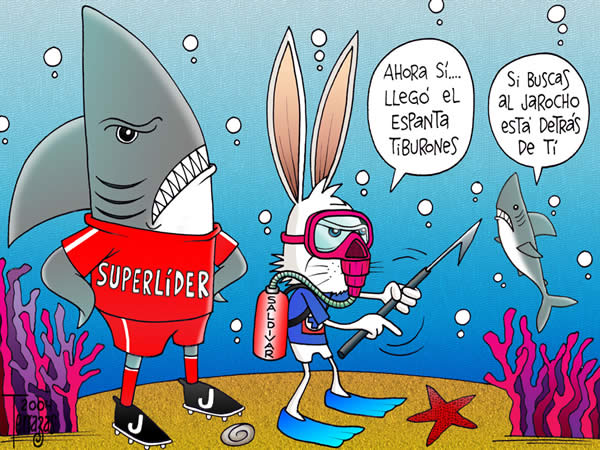 tiburones veracruz cruz azul tiburones veracruz cruz azul