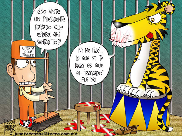 tigres castillejos tigres castillejos