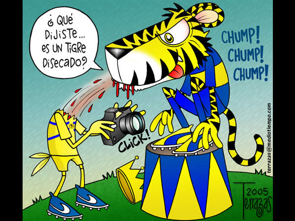 America se topo con un tigre disecado America se topo con un tigre disecado