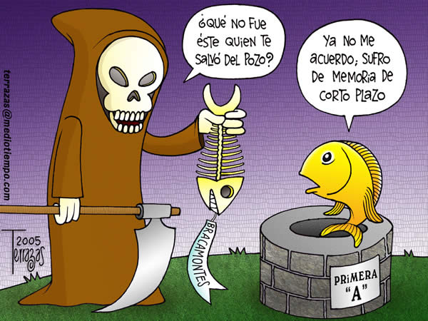 dorados memoria a corto plazo dorados memoria a corto plazo