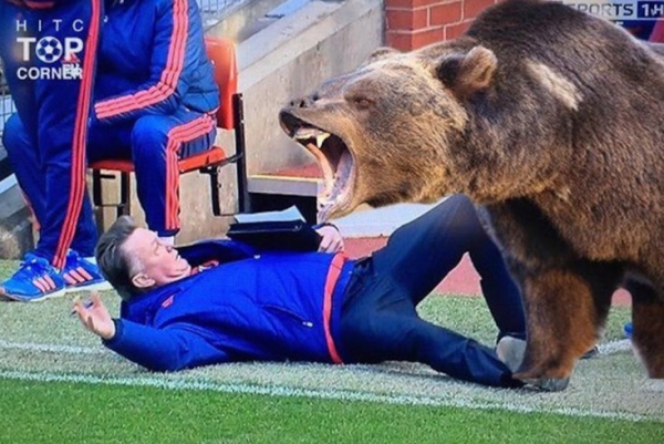 Los memes de la simulación de Van Gaal.