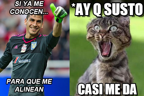 Memecrónica del Tigres 0-0 Pumas, duelo de gatitos