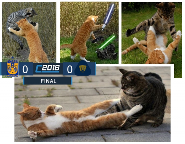 Memecrónica del Tigres 0-0 Pumas, duelo de gatitos
