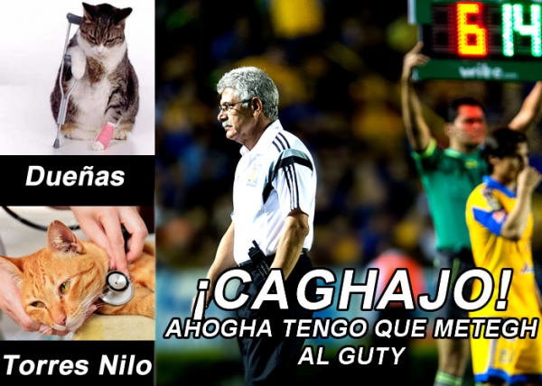 Memecrónica del Tigres 0-0 Pumas, duelo de gatitos