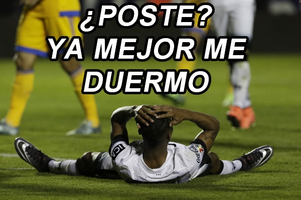 Memecrónica del Tigres 0-0 Pumas, duelo de gatitos