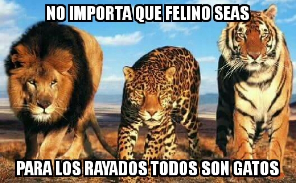 Memes del Clásico Regio 106