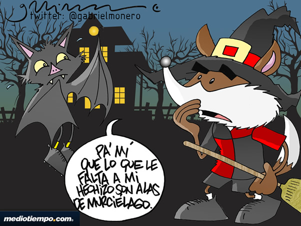 Noche de Zorros y Murciélagos