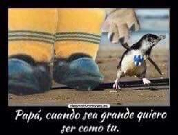 Presagio en el BBVA, Rayados 1-6 Tigres - memes