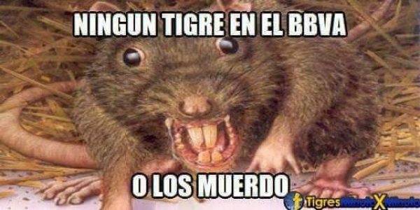 Presagio en el BBVA, Rayados 1-6 Tigres - memes