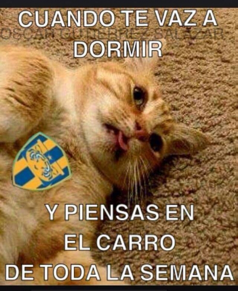 Rayados, el Superlíder; Tigres, la burla en memes