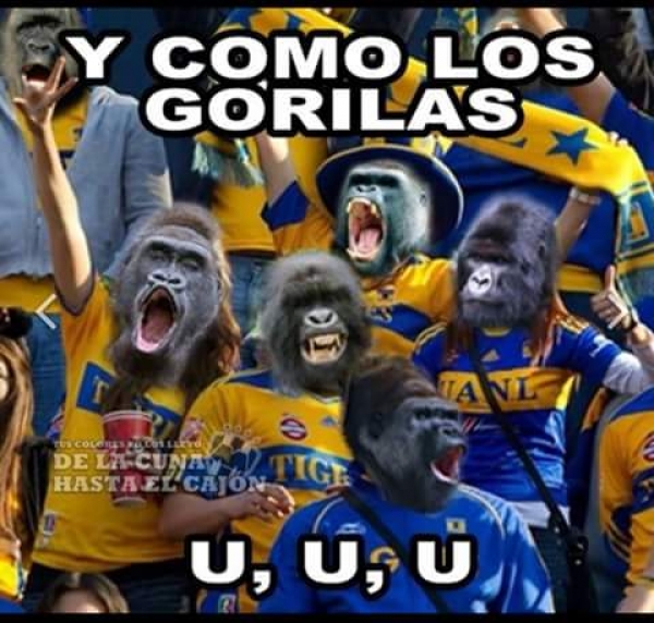 Rayados, el Superlíder; Tigres, la burla en memes