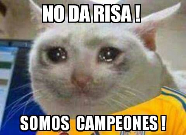 Rayados, el Superlíder; Tigres, la burla en memes