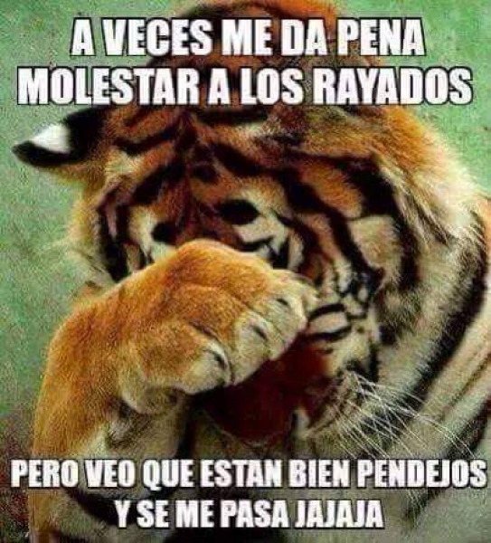 Tigres goleó y Rayados 'tiene miedo' en memes