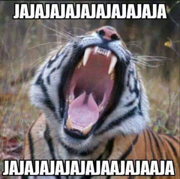 Tigres goleó y Rayados 'tiene miedo' en memes