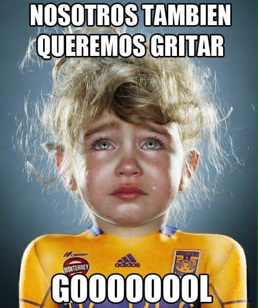 Tigres, ya ni la chifla... en memes