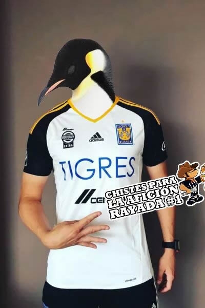 Unos tigres muy pingüinos en memes
