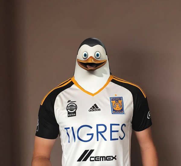 Unos tigres muy pingüinos en memes