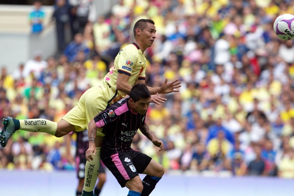 Águilas y Gallos brindaron buen espectáculo a la afición.