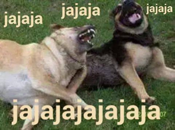 Benfica y Rayados, la burla en memes