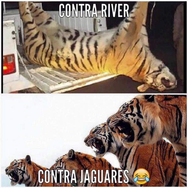 Chivas y celestes brillaron en los Memes.