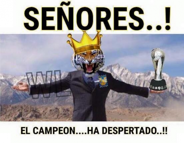 Despertó el Campeón - Memes Regios J2