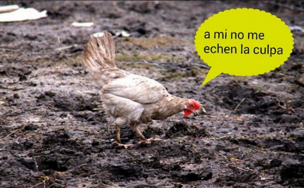 Fantasmas rodean a Rayados, en memes