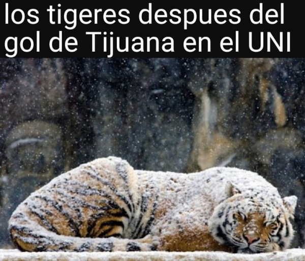 Golazos regios y los 400 de 'Tuca' en memes