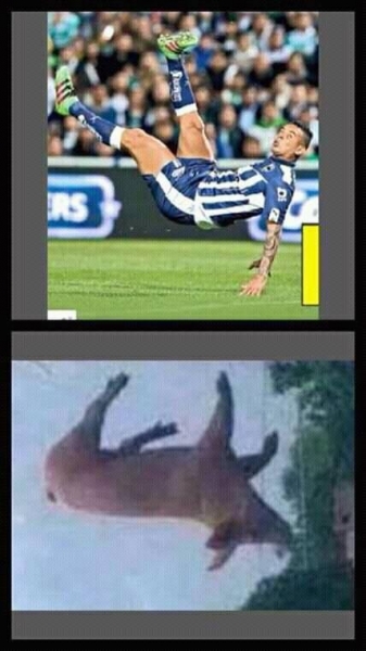 Golazos regios y los 400 de 'Tuca' en memes