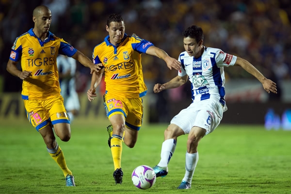 Los felinos salieron bravos a defender su cancha.