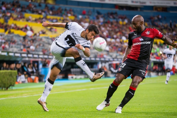 Los felinos se animaron desde el inicio del partido.