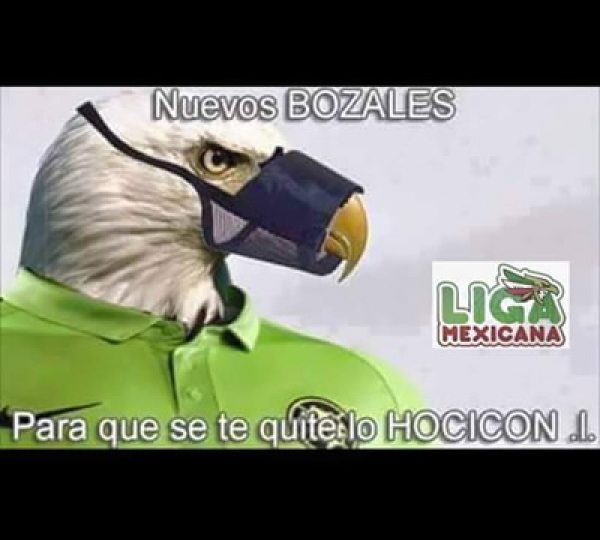 Los memes de Cuartos de Final.