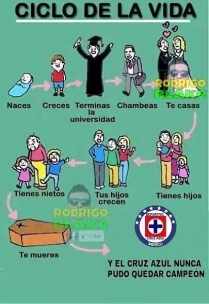 Los memes de la J17.