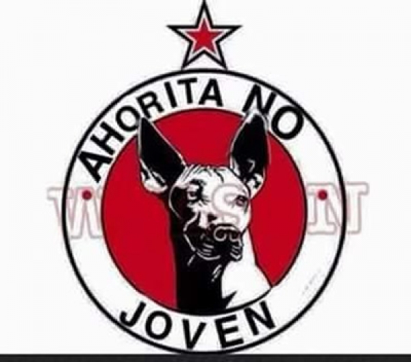 Los memes de la J17.