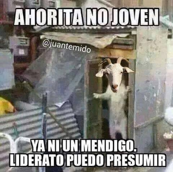 Los memes de la J16.