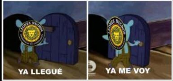 Los memes de la J17.