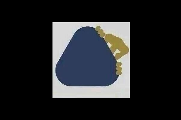 Los memes no perdonaron a Pumas.