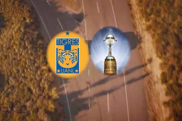 Los Tigres perdieron en la cancha y en los memes.
