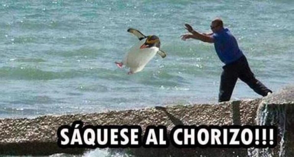 Memes de la J17... Norteños