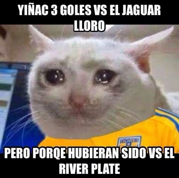 Memes de la J5... Norteños