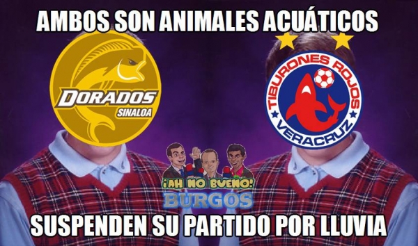 Memes de la Jornada 12. 