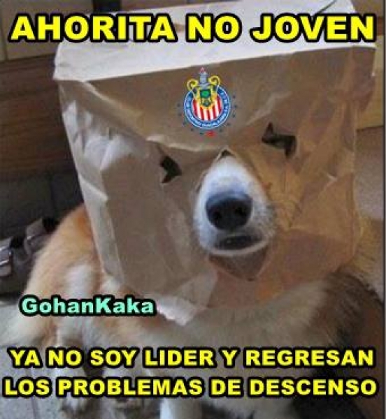 Memes de la jornada 16... Norteños (Twitter)