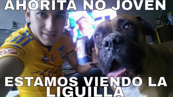 Memes Santos vs. Tigres en la Ida de Cuartos - C2015