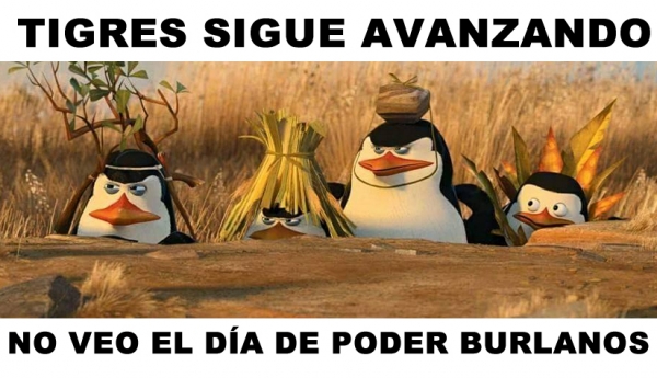 Memes Tigres vs. 'Sufre'
