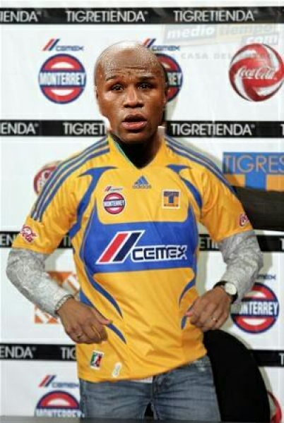 Memes Tigres vs. 'Sufre'