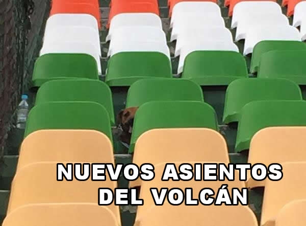 Memes Tigres vs. 'Sufre'