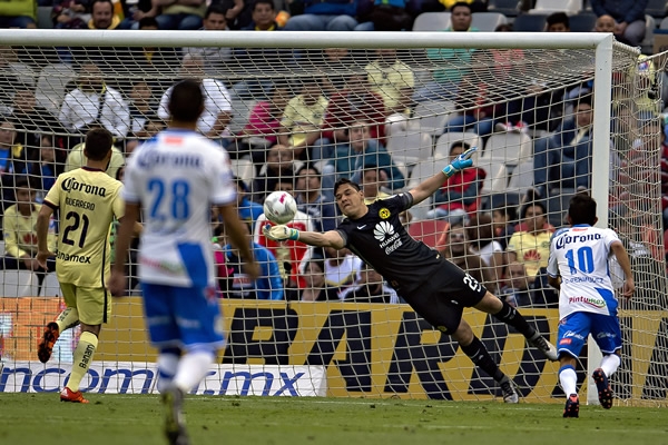 Moisés Muñoz respondió en el momento indicado.
