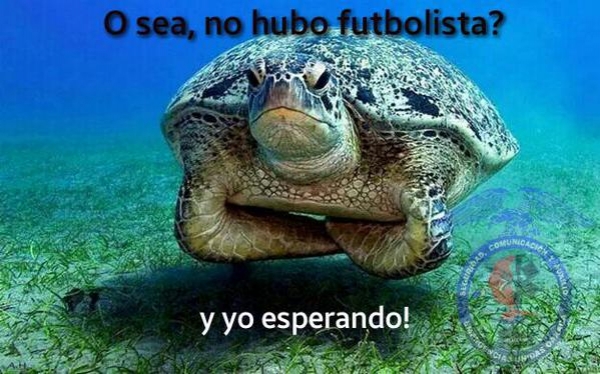 ¿Qué CR7 estuvo en Oaxaca? Hay no memes.